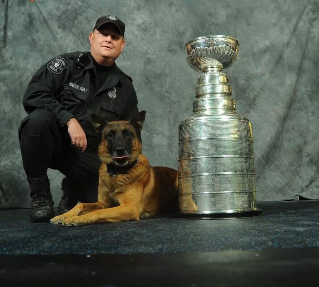 Death of Medford Police K9 "Marco"